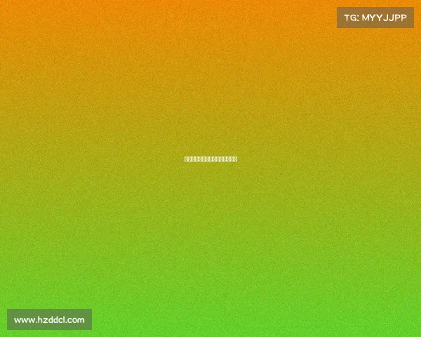 国外武术赛事介绍—国外武术指导