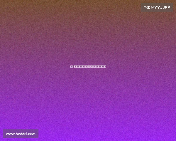 搏击B级赛事热血征程勇者无畏擂台争锋铸就辉煌篇章